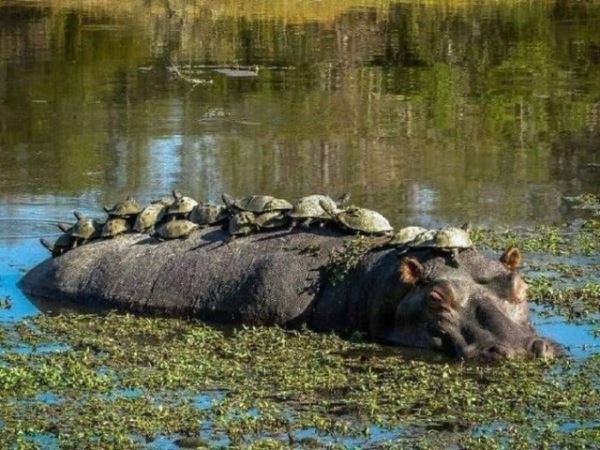 Удивительные фотографии нашего удивительного мира (21 фото)