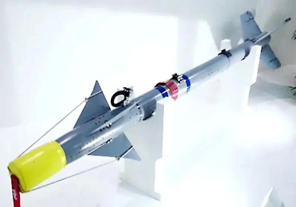 Управляемые ракеты класса «воздух-воздух» AIM-9 Sidewinder в украинских сухопутных зенитных ракетных комплексах