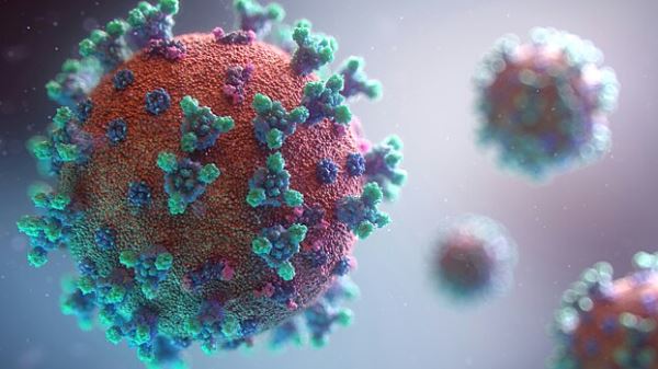 PLOS Pathogens: SARS-CoV-2 вызвает гипервоспалительную реакцию в сетчатке глаза